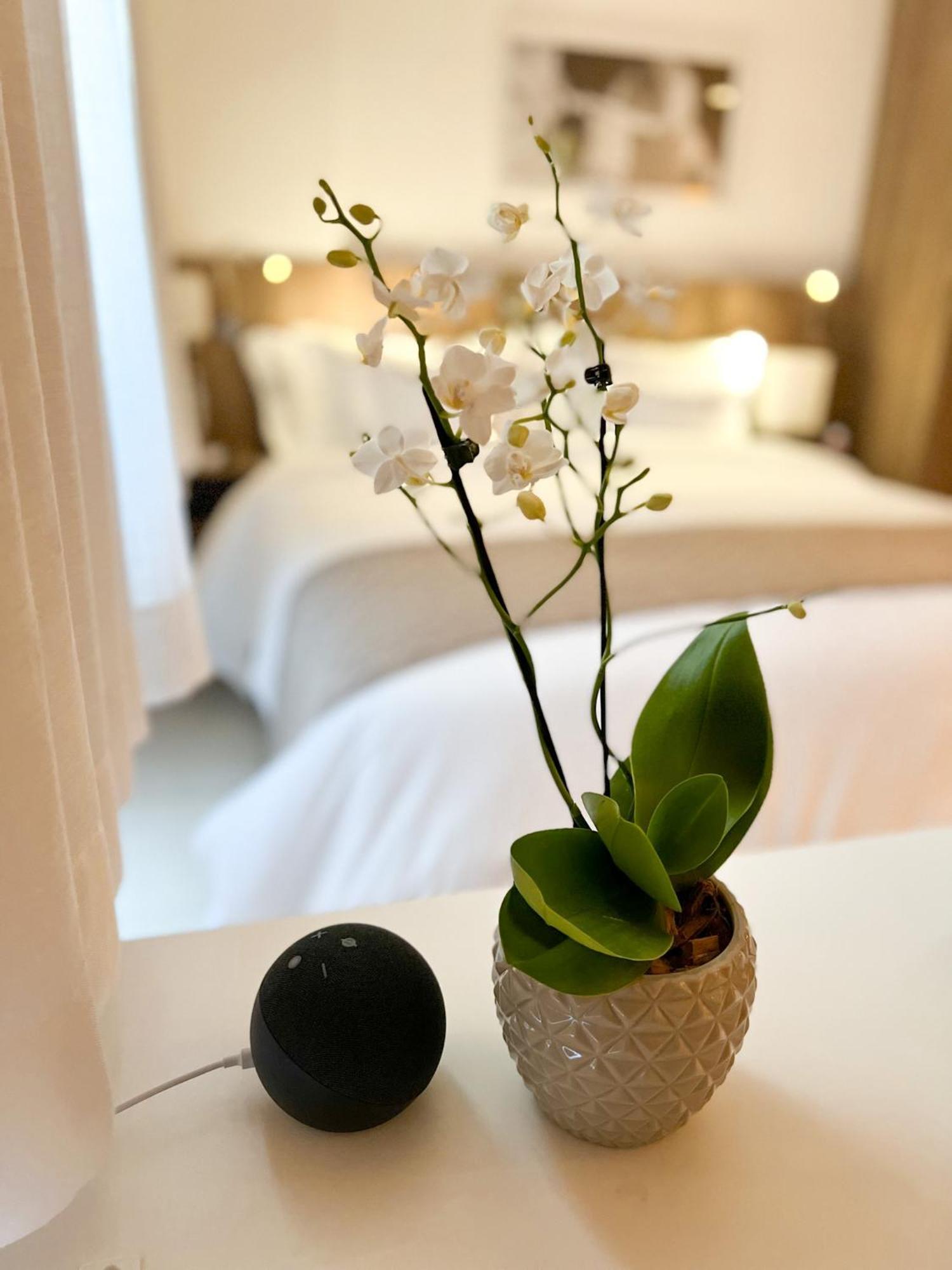 Hotel Promenade Soho 4*